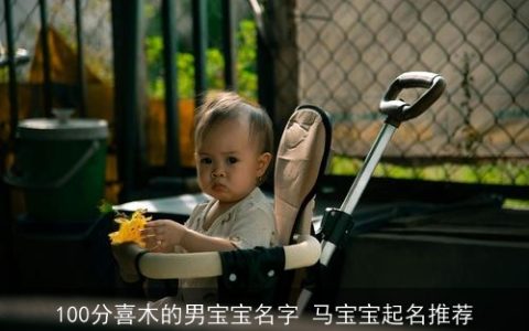 100分喜木的男宝宝名字 马宝宝起名推荐