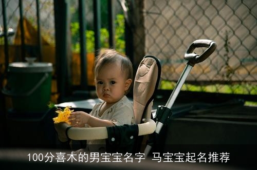 100分喜木的男宝宝名字 马宝宝起名推荐