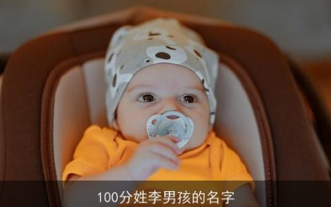 100分姓李男孩的名字