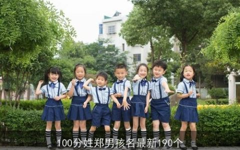 100分姓郑男孩名最新190个