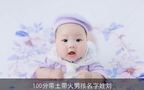 100分带土带火男孩名字姓刘