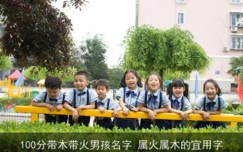 100分带木带火男孩名字 属火属木的宜用字