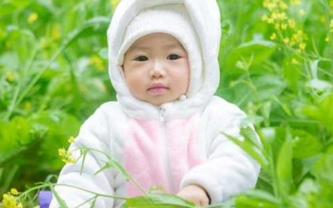 100分带木带火男孩名字