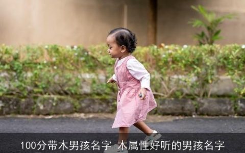 100分带木男孩名字 木属性好听的男孩名字