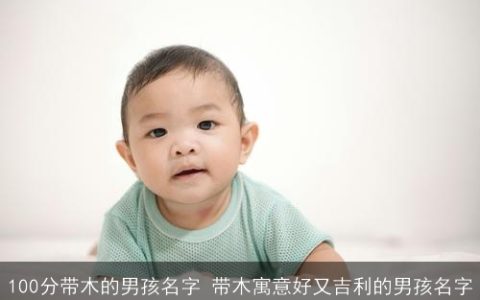 100分带木的男孩名字 带木寓意好又吉利的男孩名字