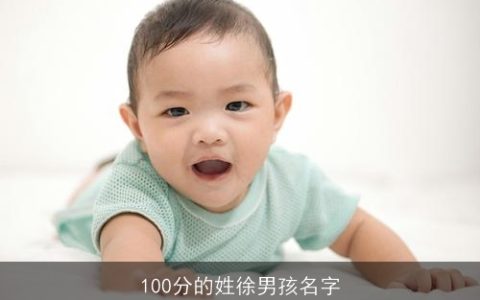 100分的姓徐男孩名字
