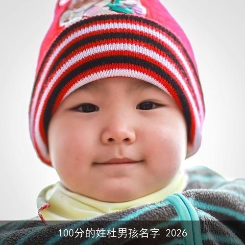 100分的姓杜男孩名字 2026