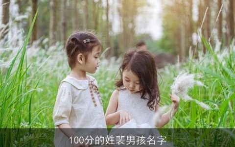 100分的姓裴男孩名字