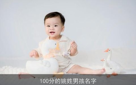100分的姚姓男孩名字
