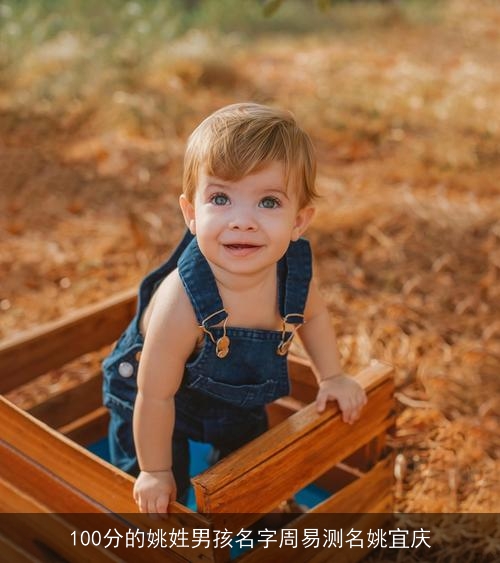 100分的姚姓男孩名字周易测名姚宜庆