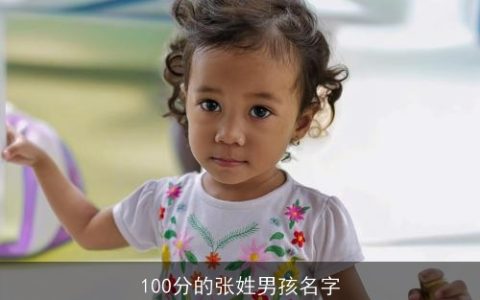 100分的张姓男孩名字