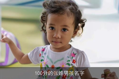 100分的张姓男孩名字