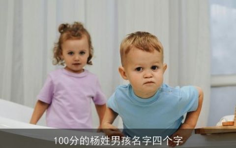 100分的杨姓男孩名字四个字