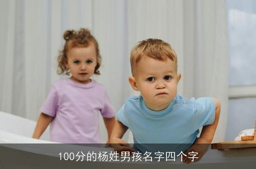 100分的杨姓男孩名字四个字