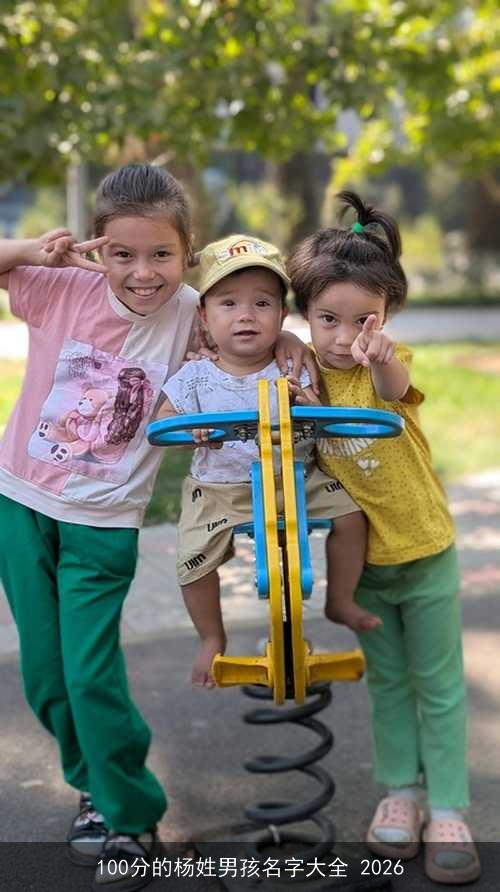 100分的杨姓男孩名字大全 2026