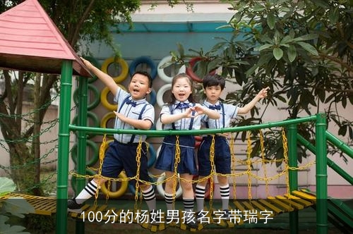 100分的杨姓男孩名字带瑞字