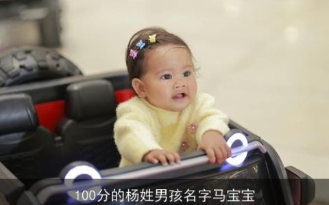 100分的杨姓男孩名字马宝宝