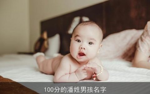 100分的潘姓男孩名字