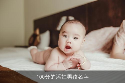 100分的潘姓男孩名字