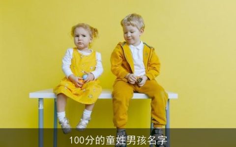 100分的童姓男孩名字