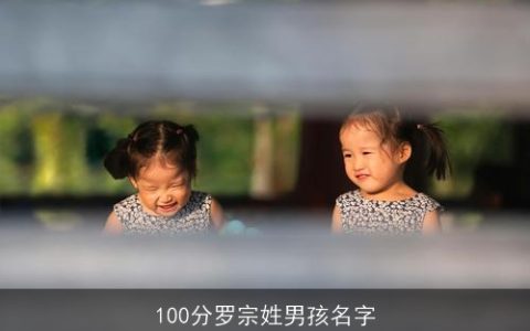 100分罗宗姓男孩名字