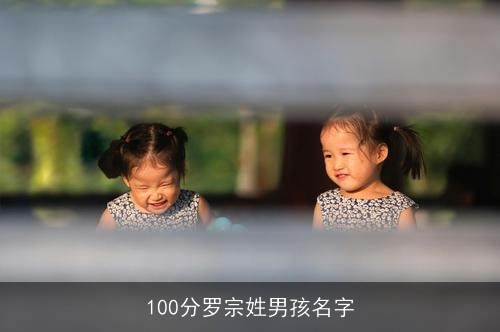 100分罗宗姓男孩名字
