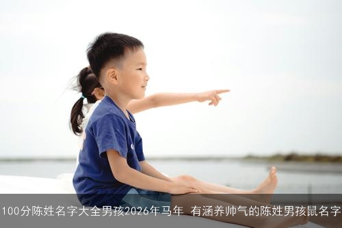 100分陈姓名字大全男孩2026年马年 有涵养帅气的陈姓男孩鼠名字