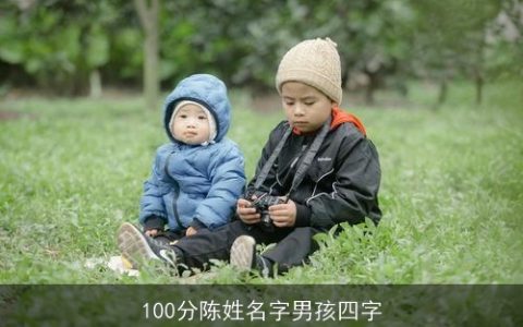 100分陈姓名字男孩四字