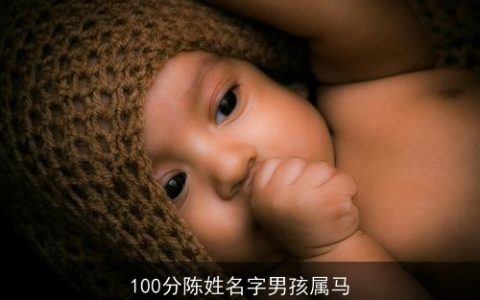 100分陈姓名字男孩属马