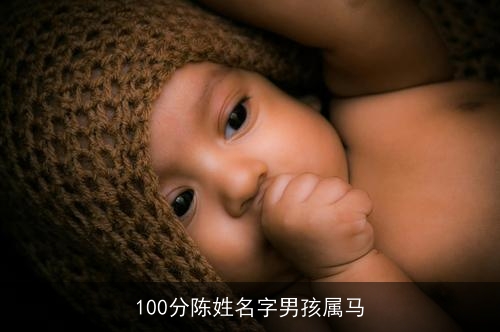 100分陈姓名字男孩属马