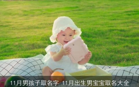 11月男孩子取名字 11月出生男宝宝取名大全