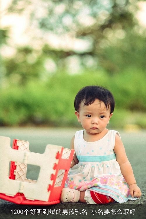 1200个好听到爆的男孩乳名 小名要怎么取好