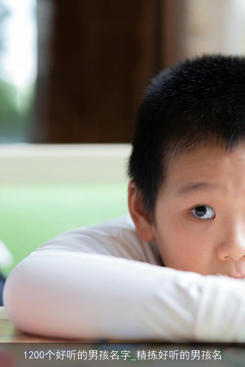 1200个好听的男孩名字_精拣好听的男孩名