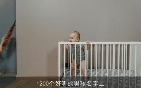 1200个好听的男孩名字二