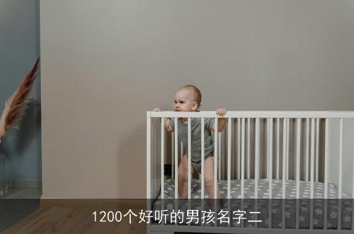 1200个好听的男孩名字二
