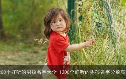1200个好听的男孩名字大全 1200个好听的男孩名字分数高的