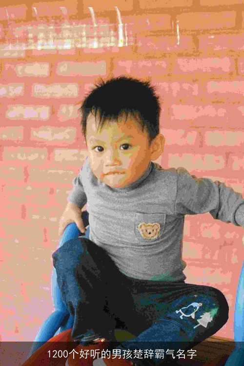 1200个好听的男孩楚辞霸气名字