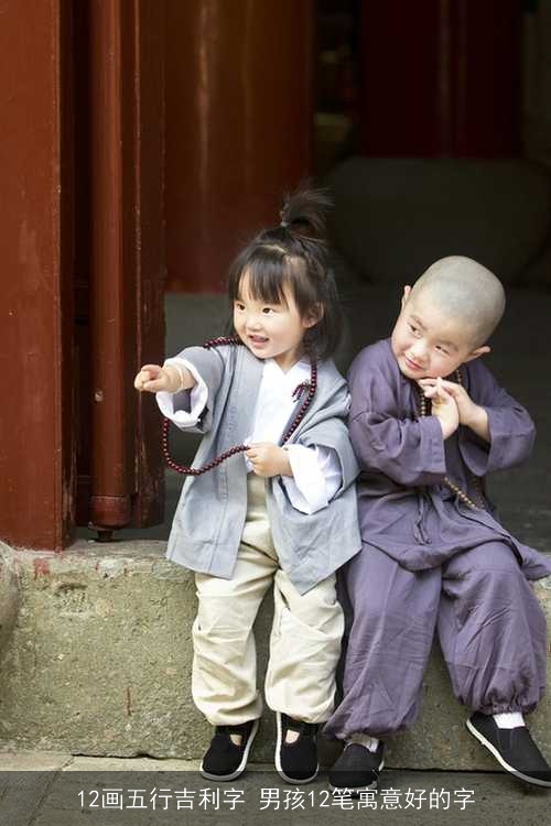 12画五行吉利字 男孩12笔寓意好的字