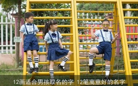 12画适合男孩取名的字 12笔寓意好的名字