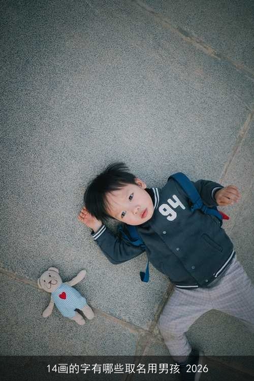 14画的字有哪些取名用男孩 2026