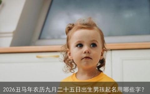 2026丑马年农历九月二十五日出生男孩起名用哪些字？