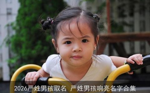 2026严姓男孩取名 严姓男孩响亮名字合集