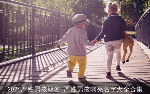 2026严姓男孩取名 严姓男孩响亮名字大全合集