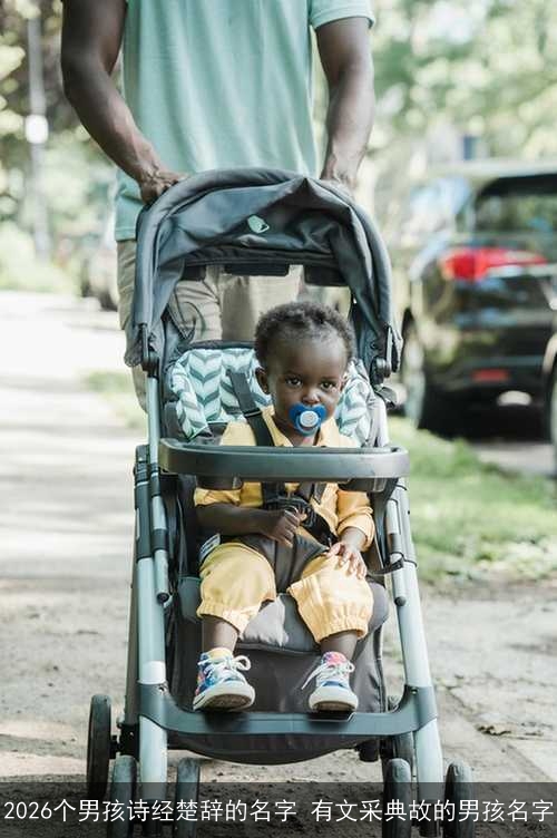 2026个男孩诗经楚辞的名字 有文采典故的男孩名字