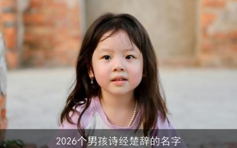 2026个男孩诗经楚辞的名字