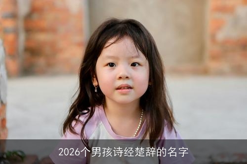 2026个男孩诗经楚辞的名字