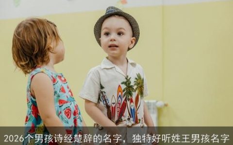 2026个男孩诗经楚辞的名字，独特好听姓王男孩名字