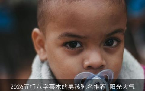 2026五行八字喜木的男孩乳名推荐 阳光大气