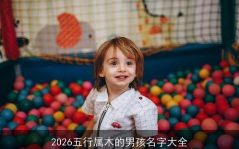 2026五行属木的男孩名字大全
