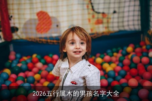 2026五行属木的男孩名字大全
